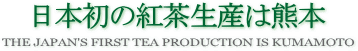 日本初の紅茶生産は熊本