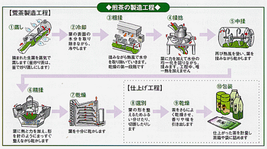 製造工程